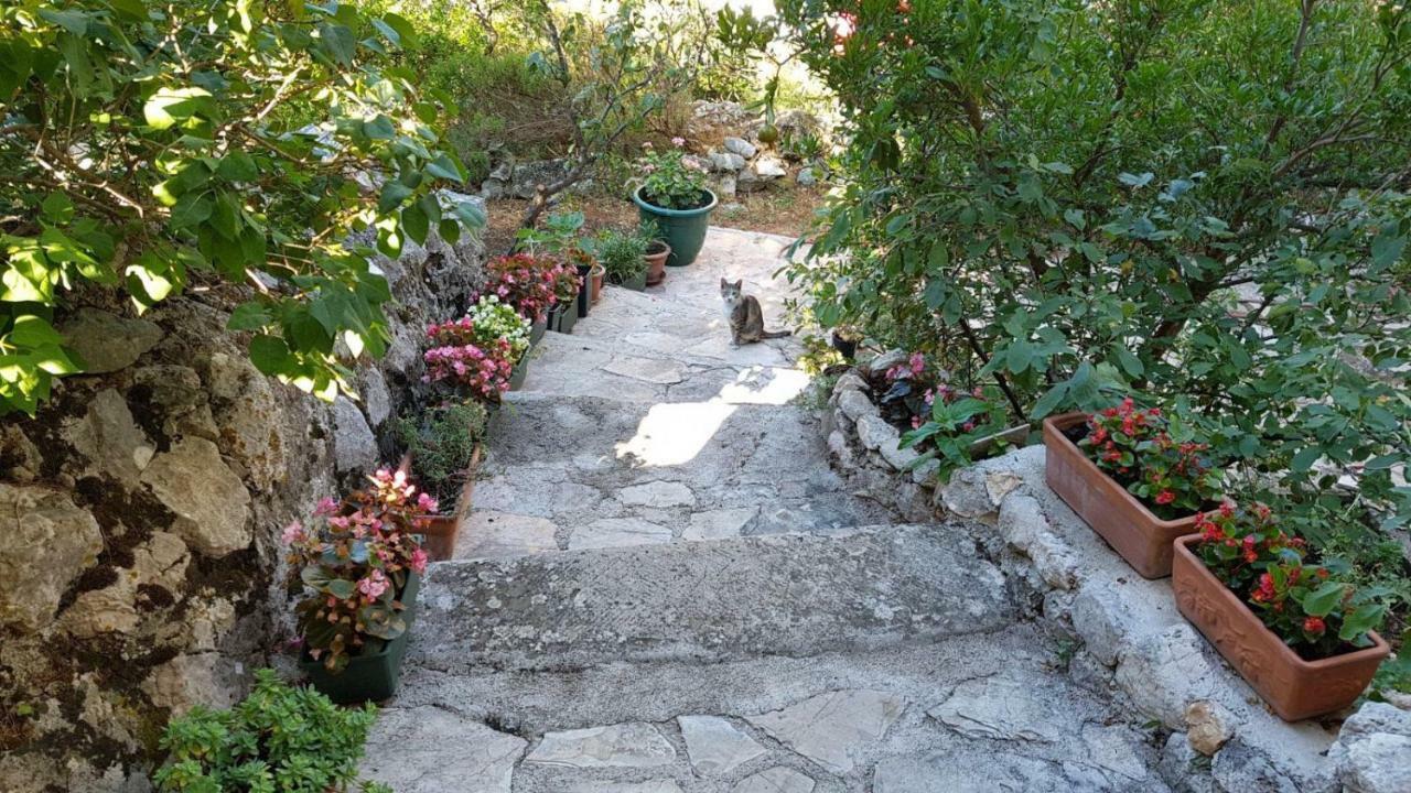 Apartment Gal Podgora Exteriér fotografie